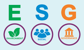 Esg Certification